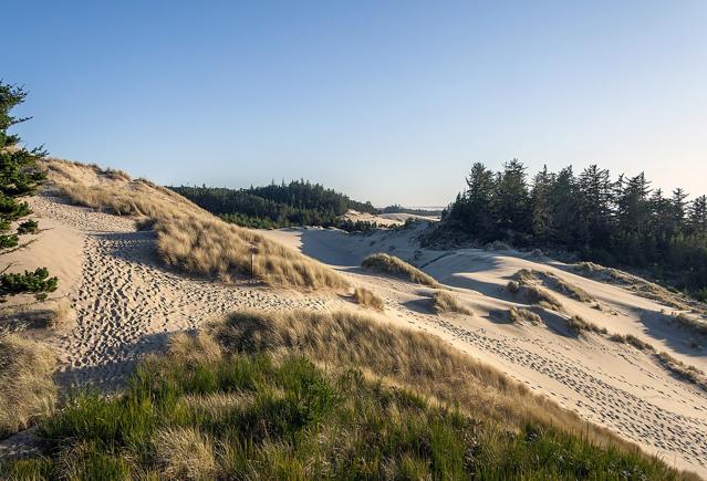 Oregon Dunes National Recreation Area